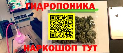 шишки Краснокаменск